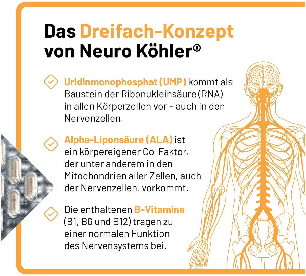 Neuro Köhler Kapseln 90 Stück