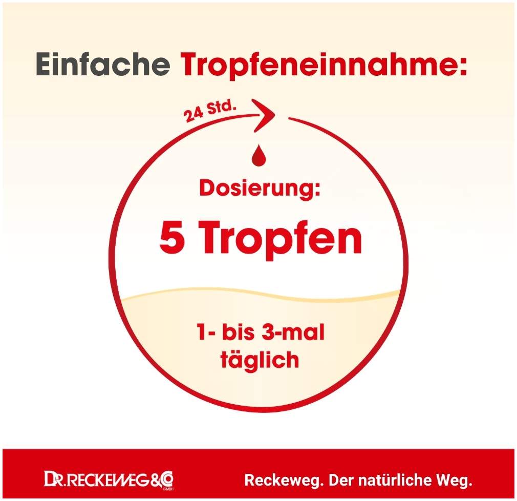 Dormi Gastreu S R 14 50 ml Tropfen