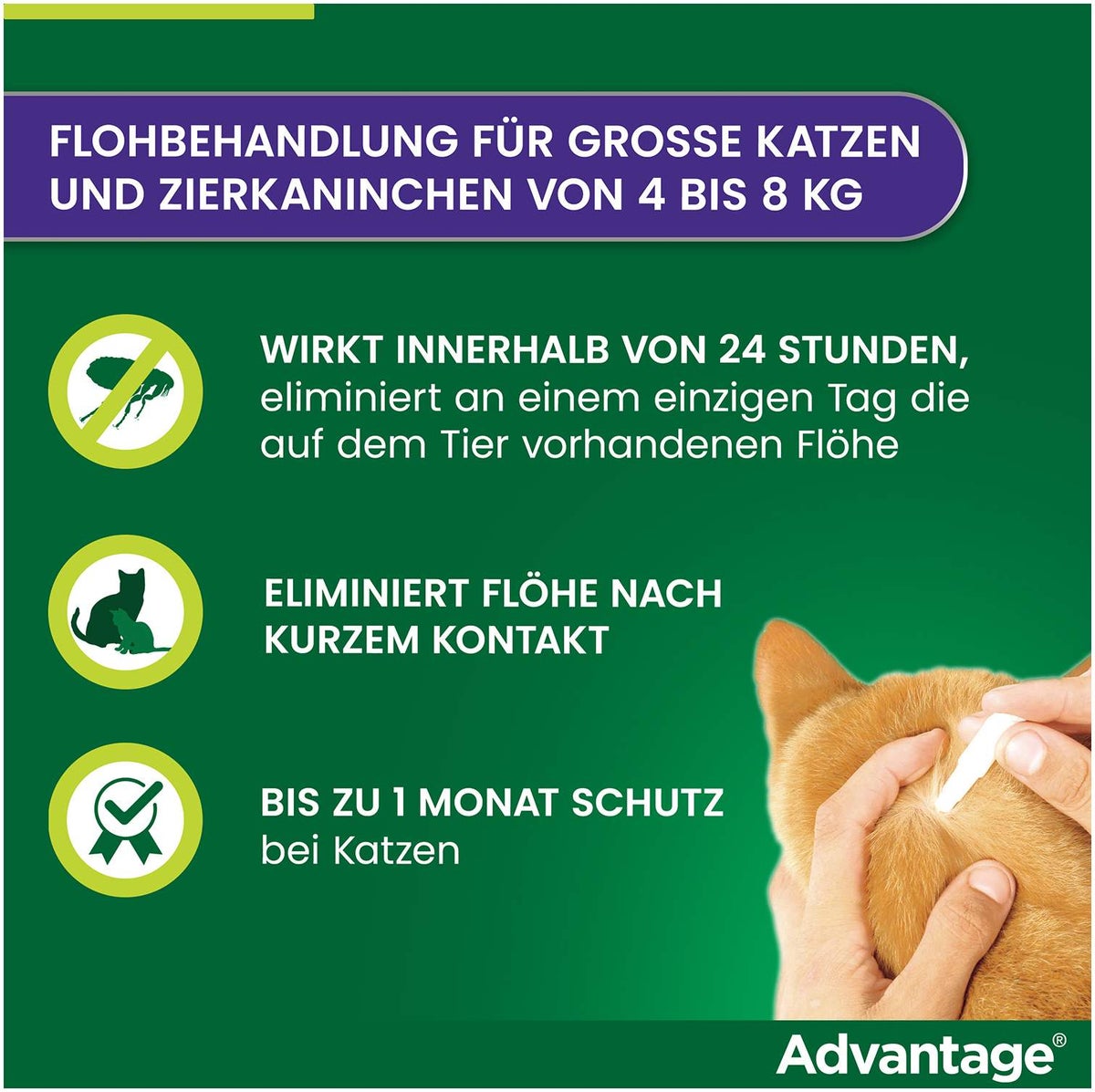 Advantage 80 mg für Katzen und Zierkaninchen über 4 kg 4 x 0,8 ml Lösung