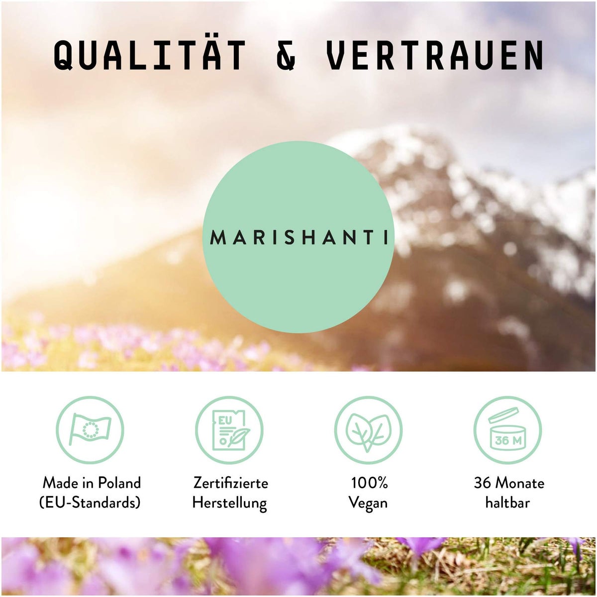 Mariendistel Früchte Extrakt Tropfen alkoholfrei 100 ml