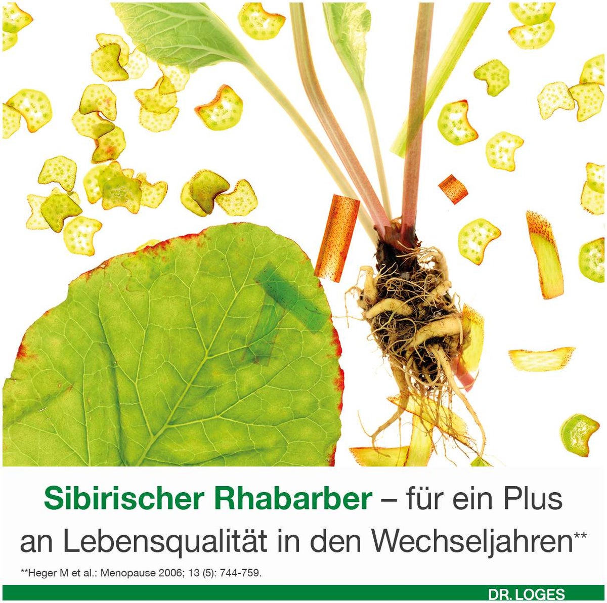 femiLoges 90 magensaftresistente Tabletten