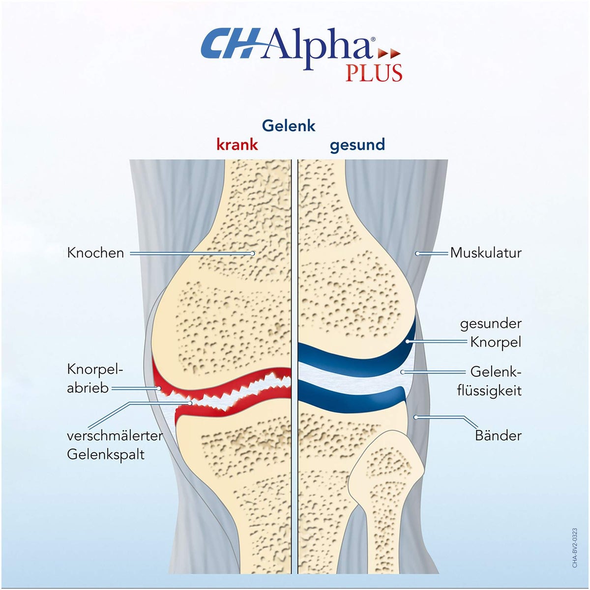 CH Alpha Plus 30 Trinkampullen