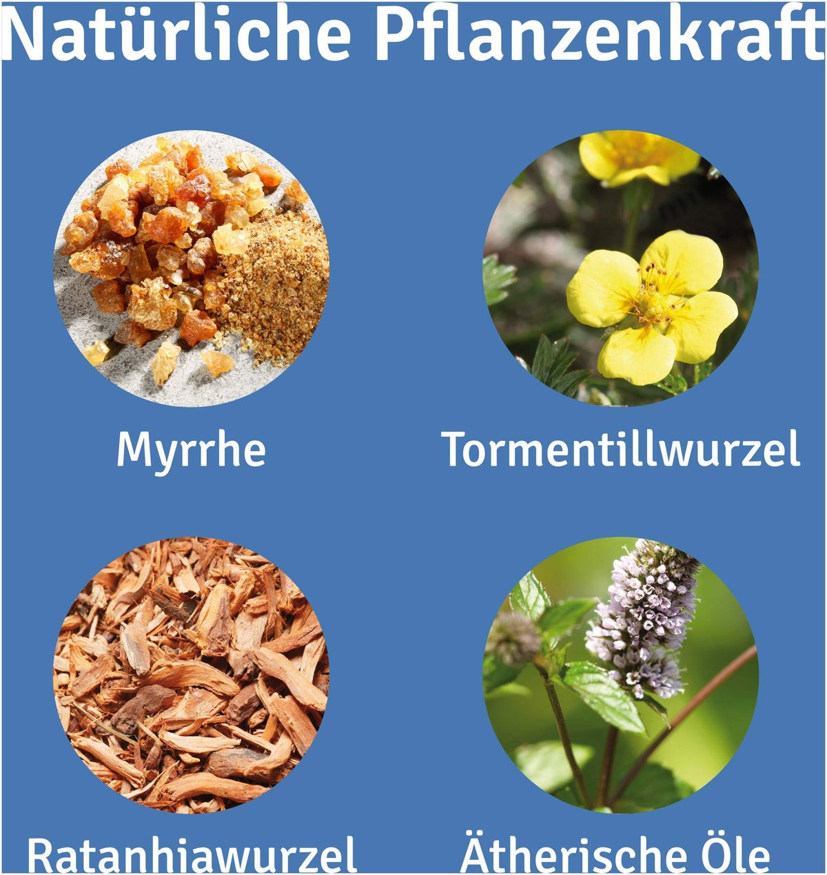 Repha-OS Mund- und Rachenspray 12 ml Spray