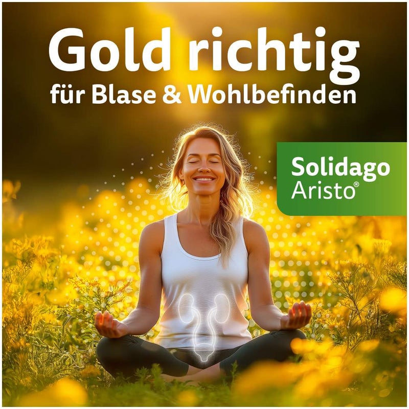 Solidago Aristo 300 mg Tabletten 60 Stück