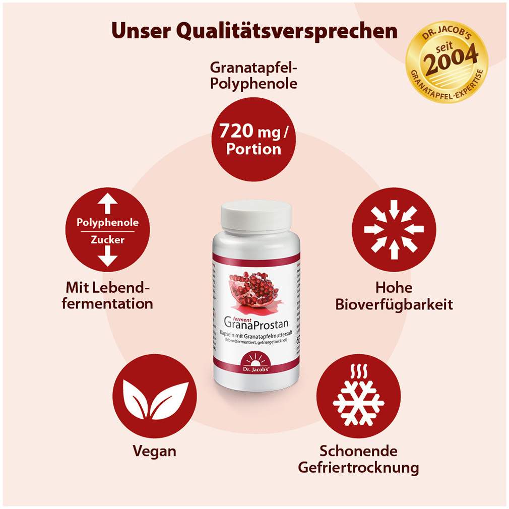 Granaprostan Ferment Dr.Jacob`s 100 Kapseln