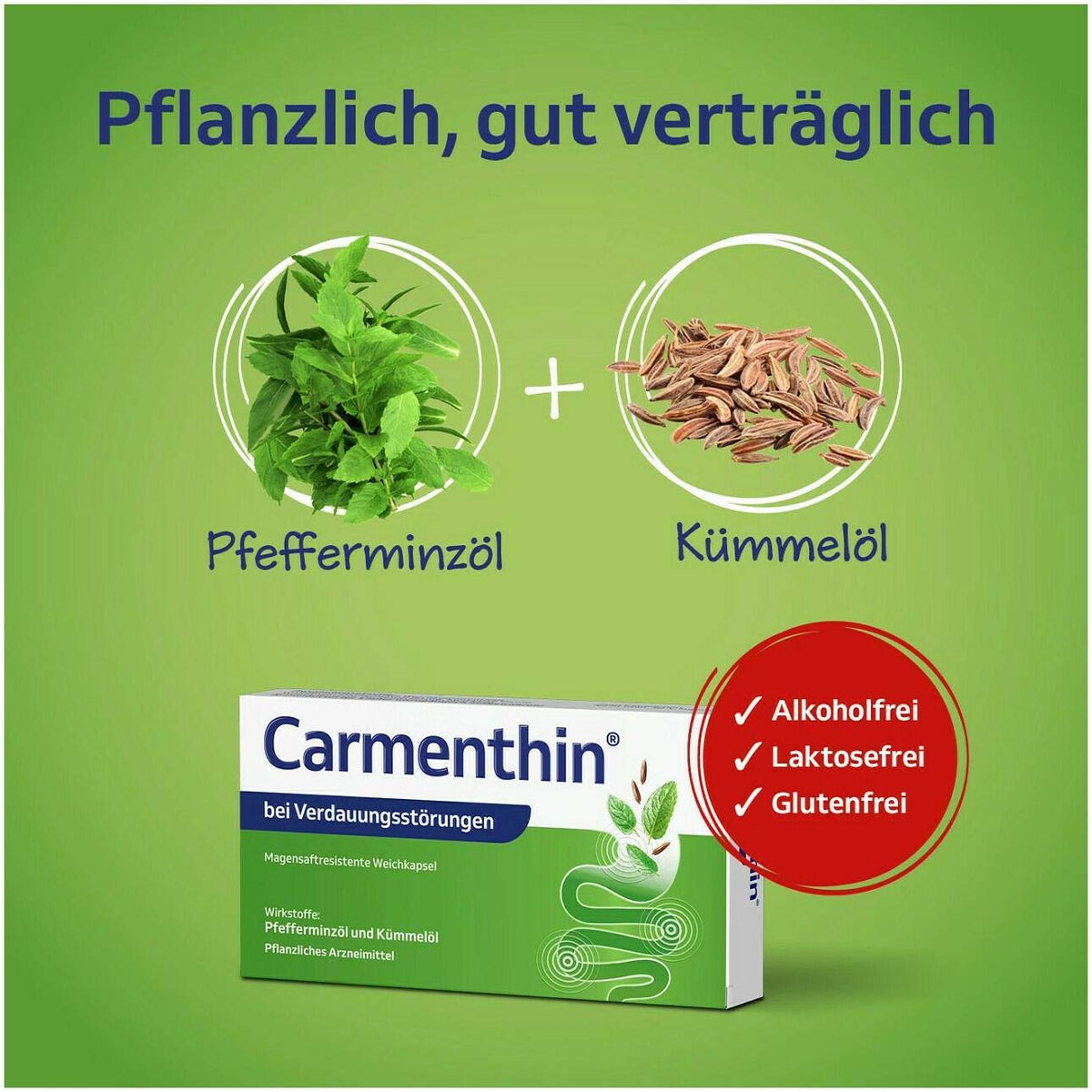 Carmenthin bei Verdauungsstörungen 84 magensaftresistente Weichkapseln