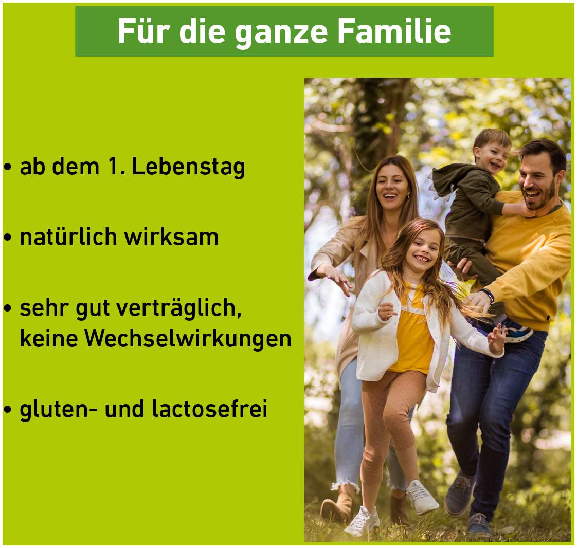 Rhus Toxicodendron D 12 Globuli Pflüger Globulispender 10 g