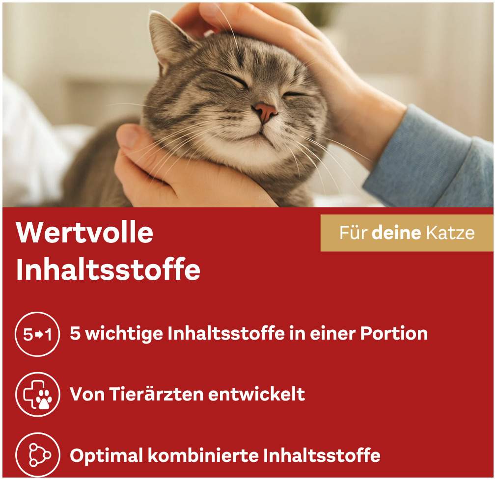 Doppelherz Anti-Hairball Complex für Katzen 25 Licks