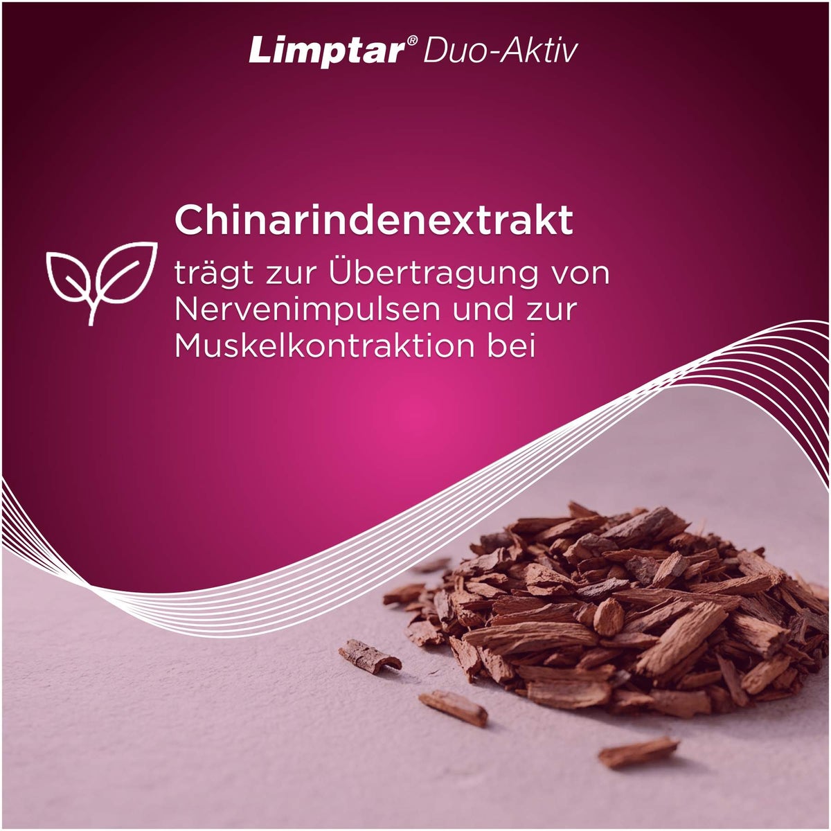 Limptar Duo-Aktiv 60 Tabletten