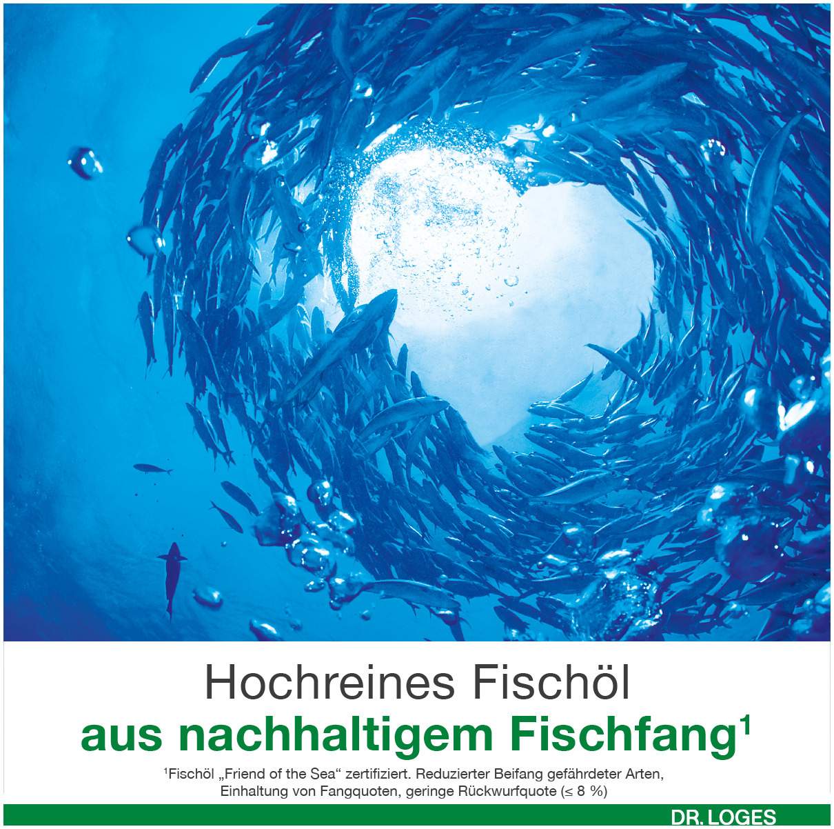 Omega 3 - Loges Plus Kapseln