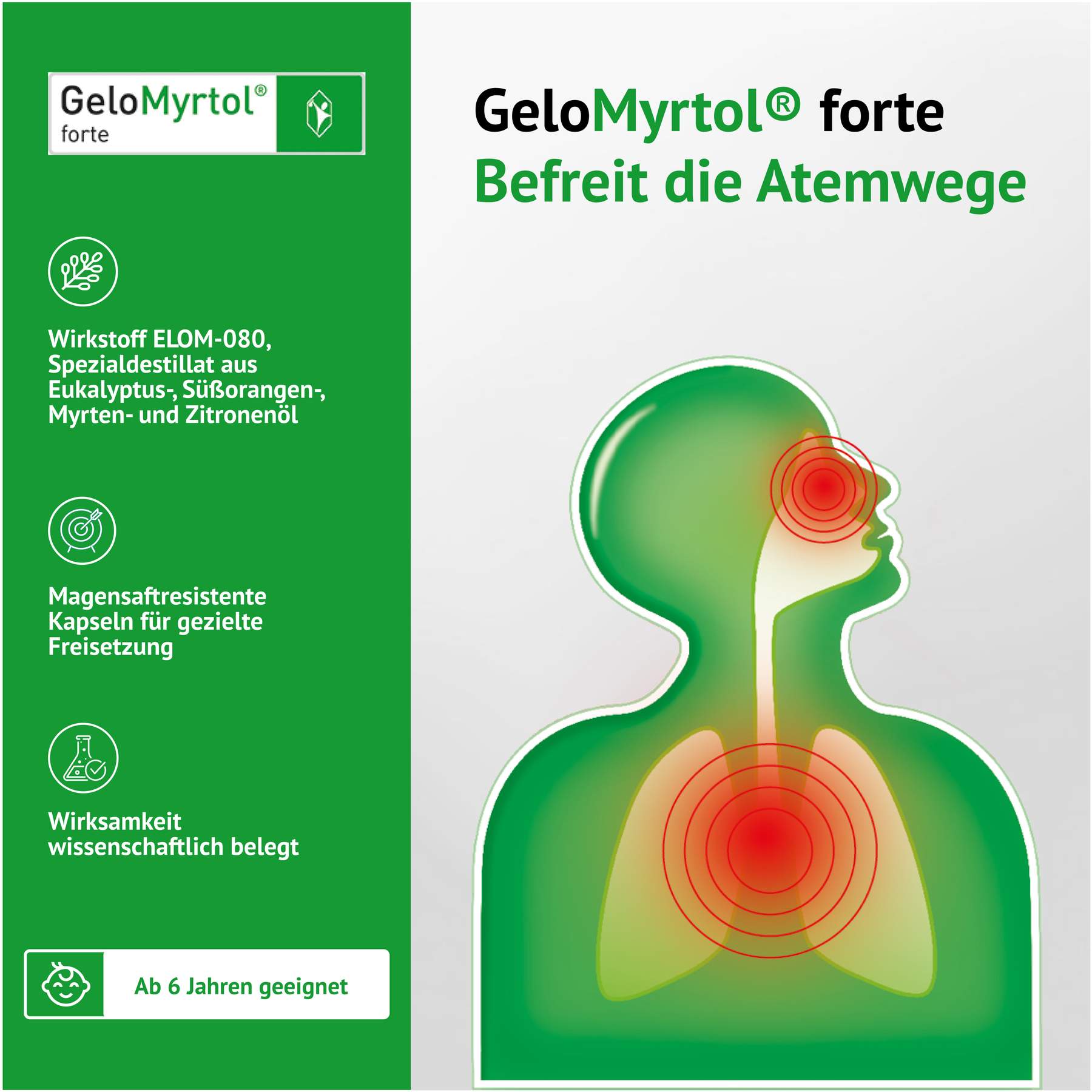 Gelomyrtol forte 20 Kapseln