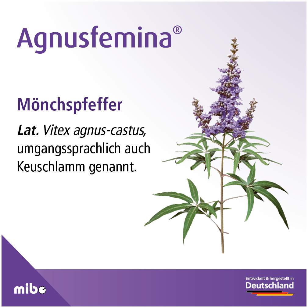 Agnusfemina 4 mg 100 Filmtabletten