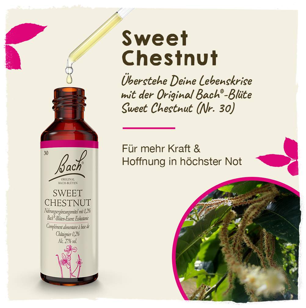 Bachblüten Sweet Chestnut 20 ml Tropfen