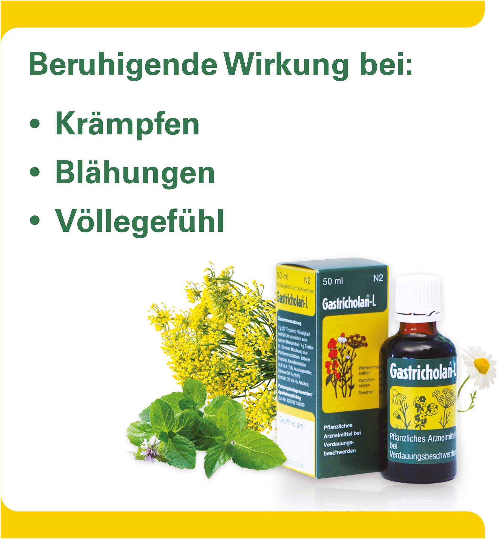 Gastricholan L 50 ml Flüssigkeit