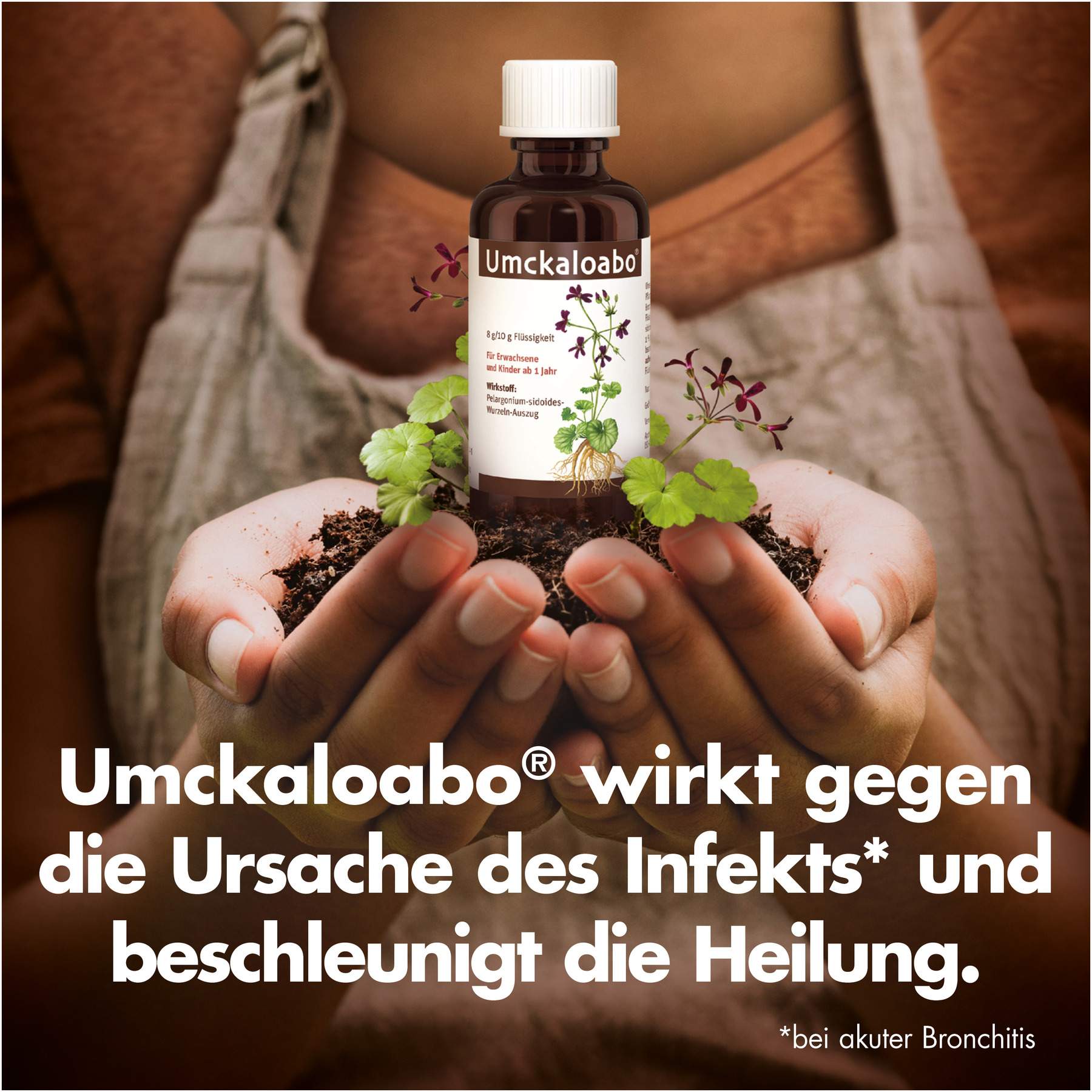 Umckaloabo Tropfen 100 ml