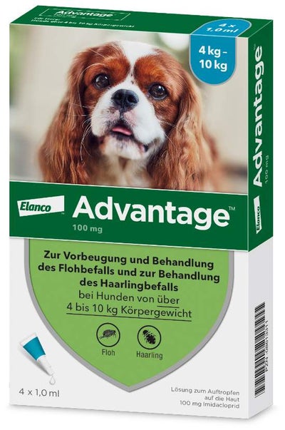 Advantage 100 Lösung für Hunde 4 - 10 kg 4 Einzeldosispipetten