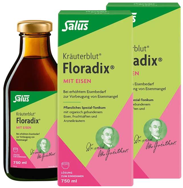 Floradix mit Eisen Tonikum 2 x 700 ml