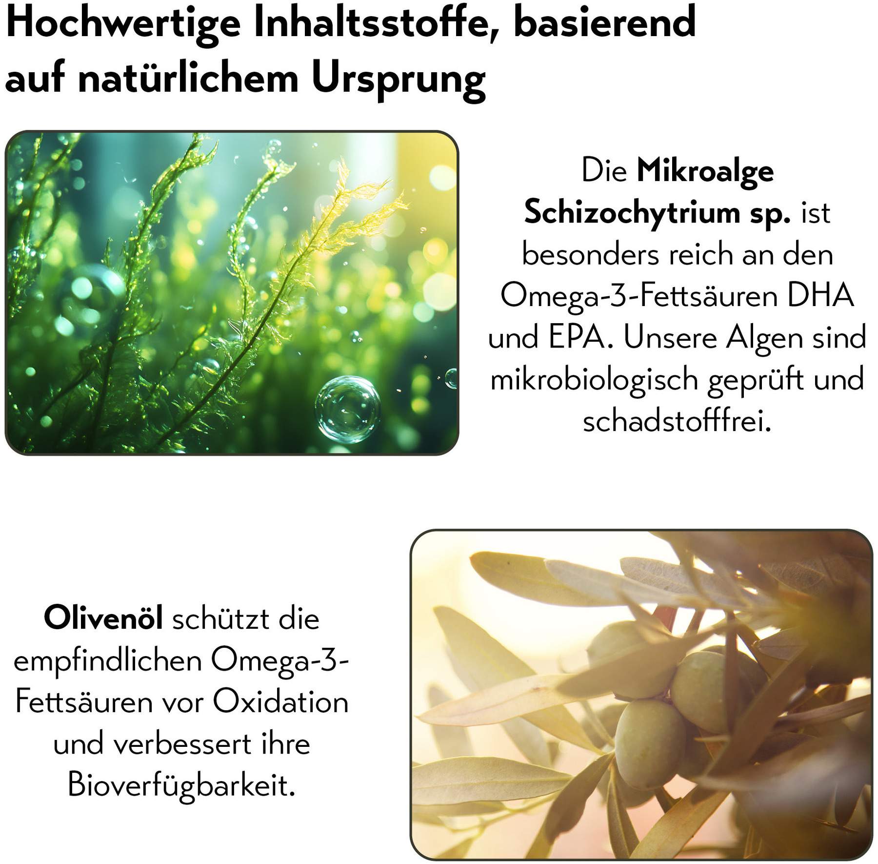 PureSGP Omega-3 Öl Forte Tropfen 150 ml