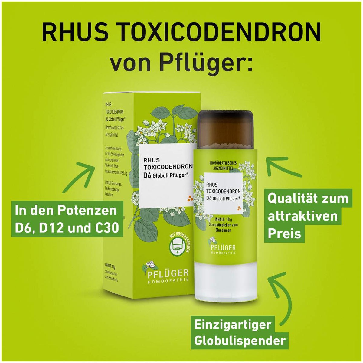 Rhus Toxicondedron D 6 Globuli Pflüger Globulispender 10 g