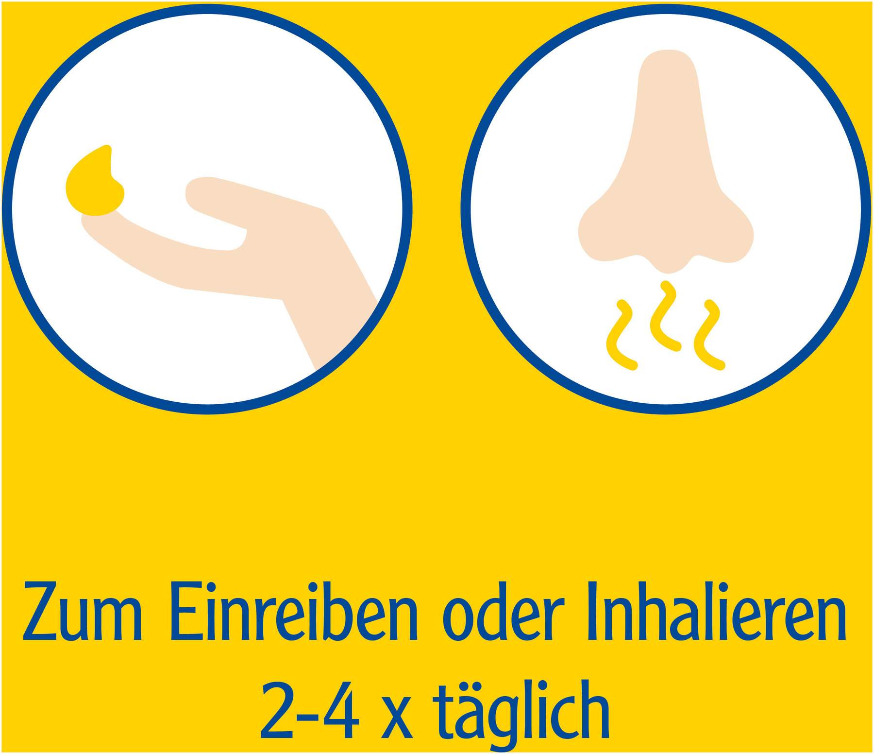 Pinimenthol Erkältungssalbe 50 g