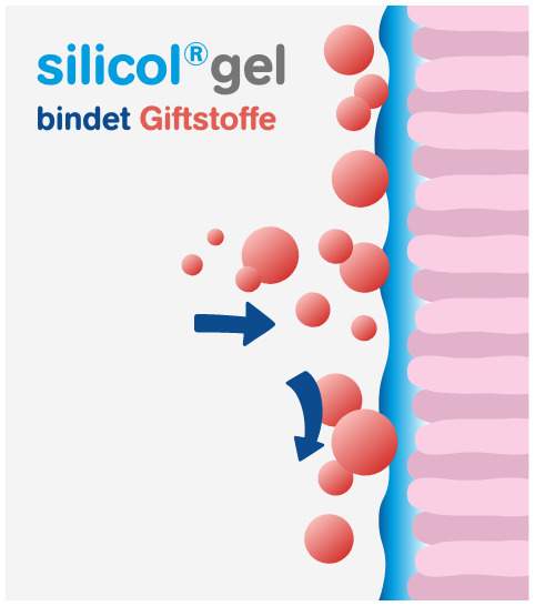 Silicolgel Gegen Magen-Darm-Erkrankungen 200ml