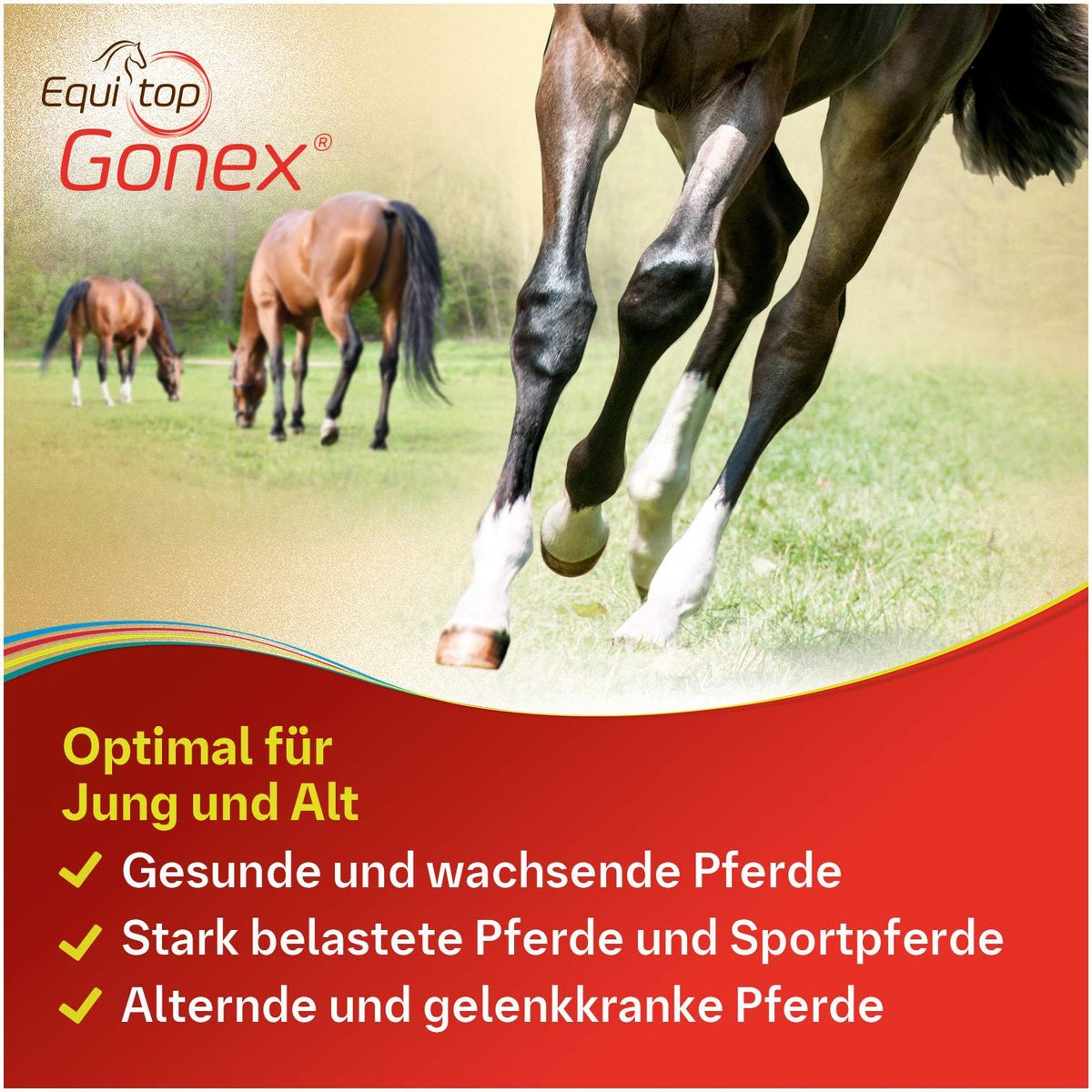 Equitop Gonex vet. 750 g Granulat