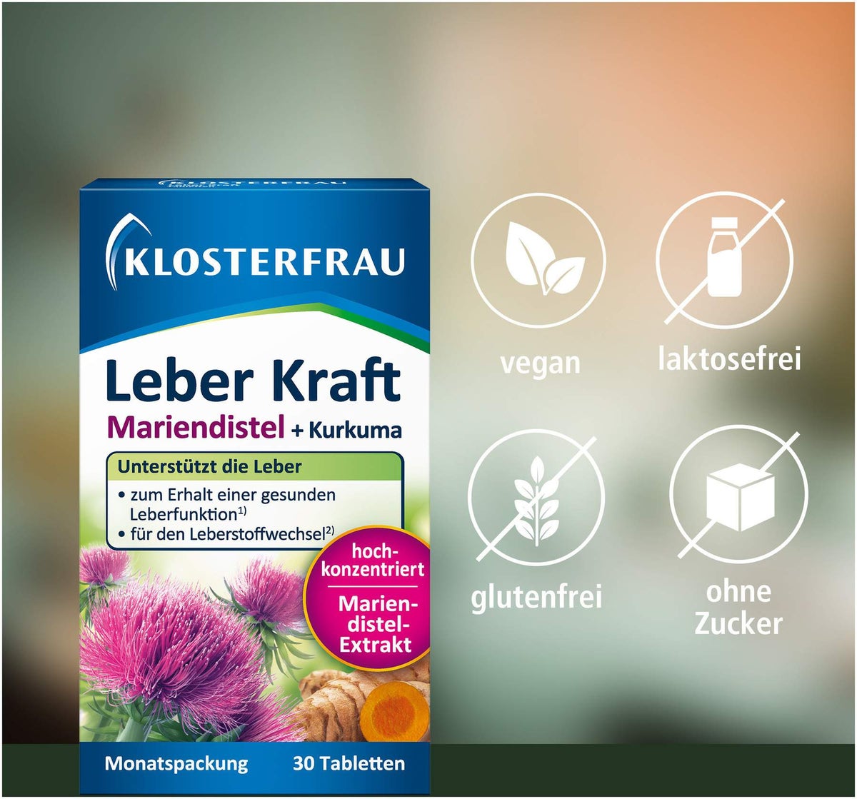 Klosterfrau Leber Kraft Tabletten 30 Stück