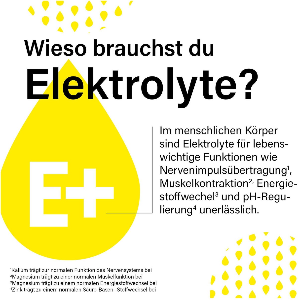 Elektrolyte+ Granulat 20 Sticks