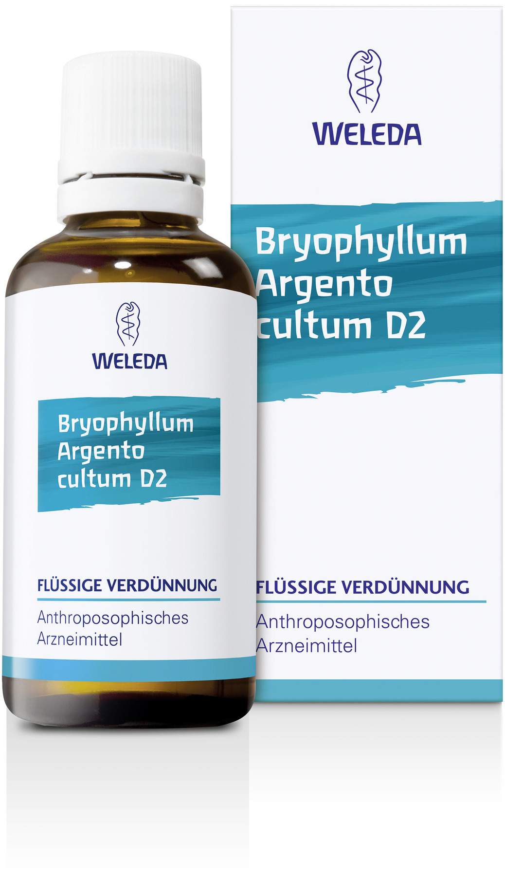 Weleda Bryophyllum Argento Cultum D2 50 ml Dilution