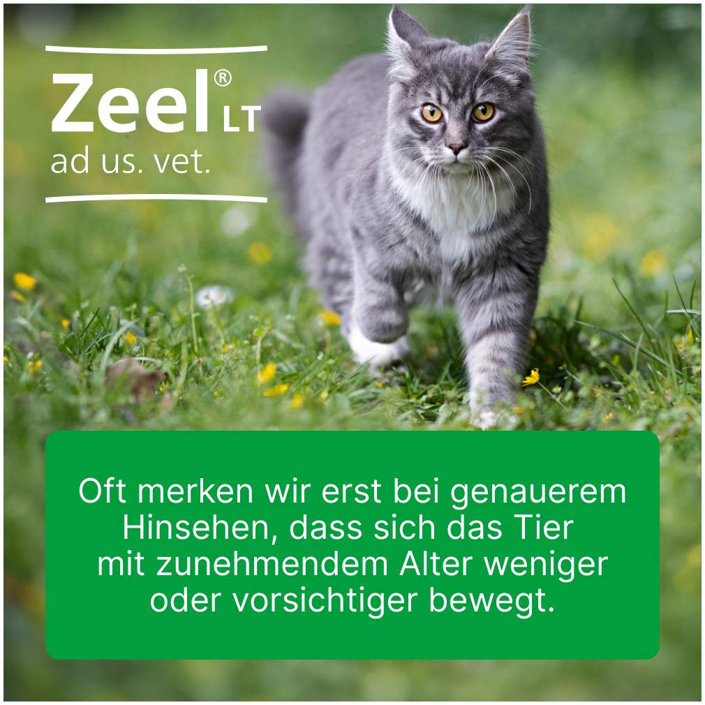 Zeel Lt Ad Us.Vet. 500 Tabletten
