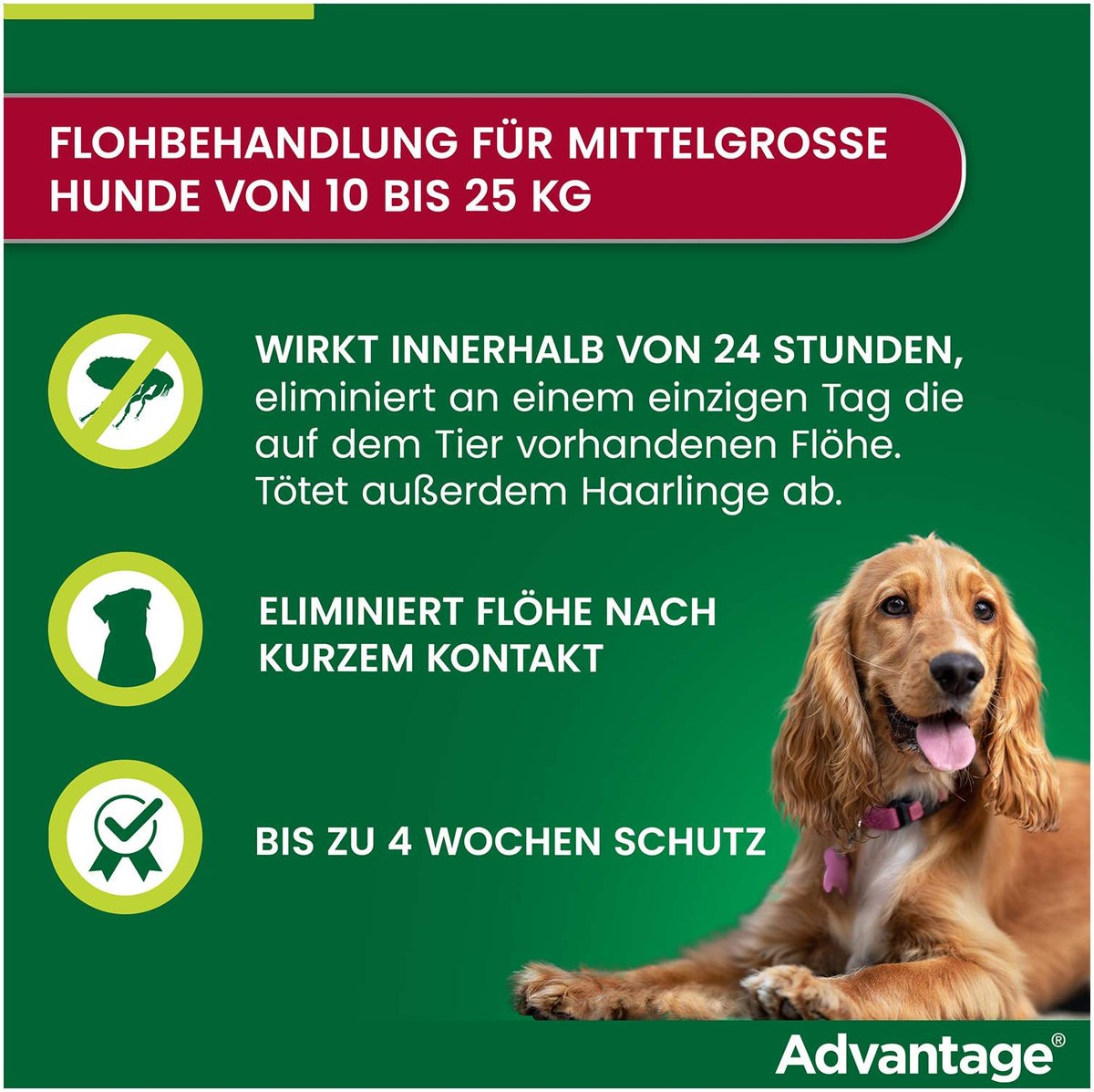 Advantage 250 Lösung für Hunde 10 - 25 kg 4 Einzeldosispipetten