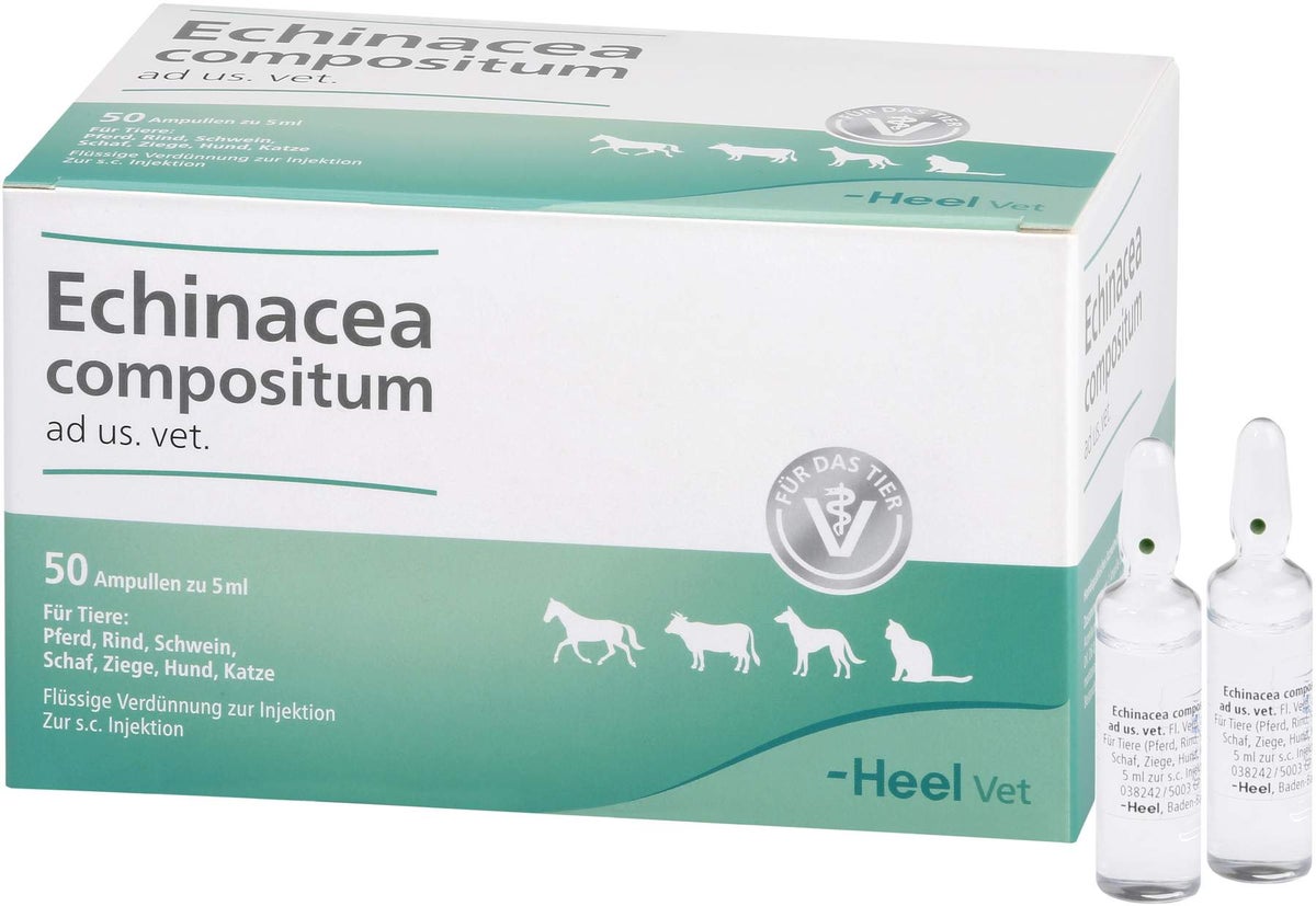 Echinacea Compositum Ad Us. vet. 50 Ampullen
