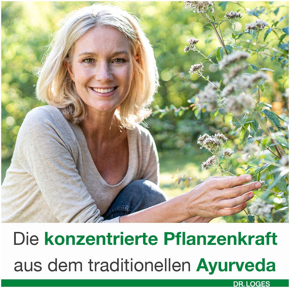 Curcumin Loges 120 Kapseln