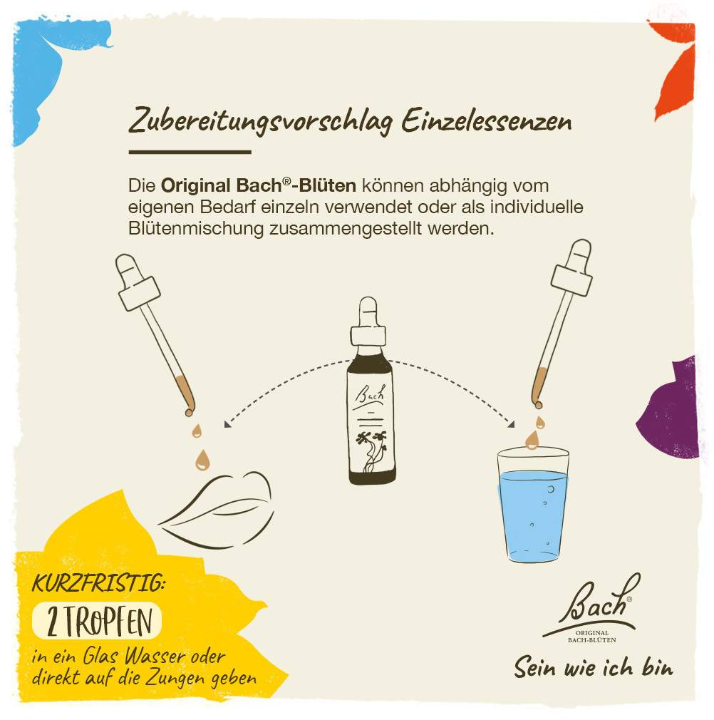 Bachblüten Beech 20 ml Tropfen