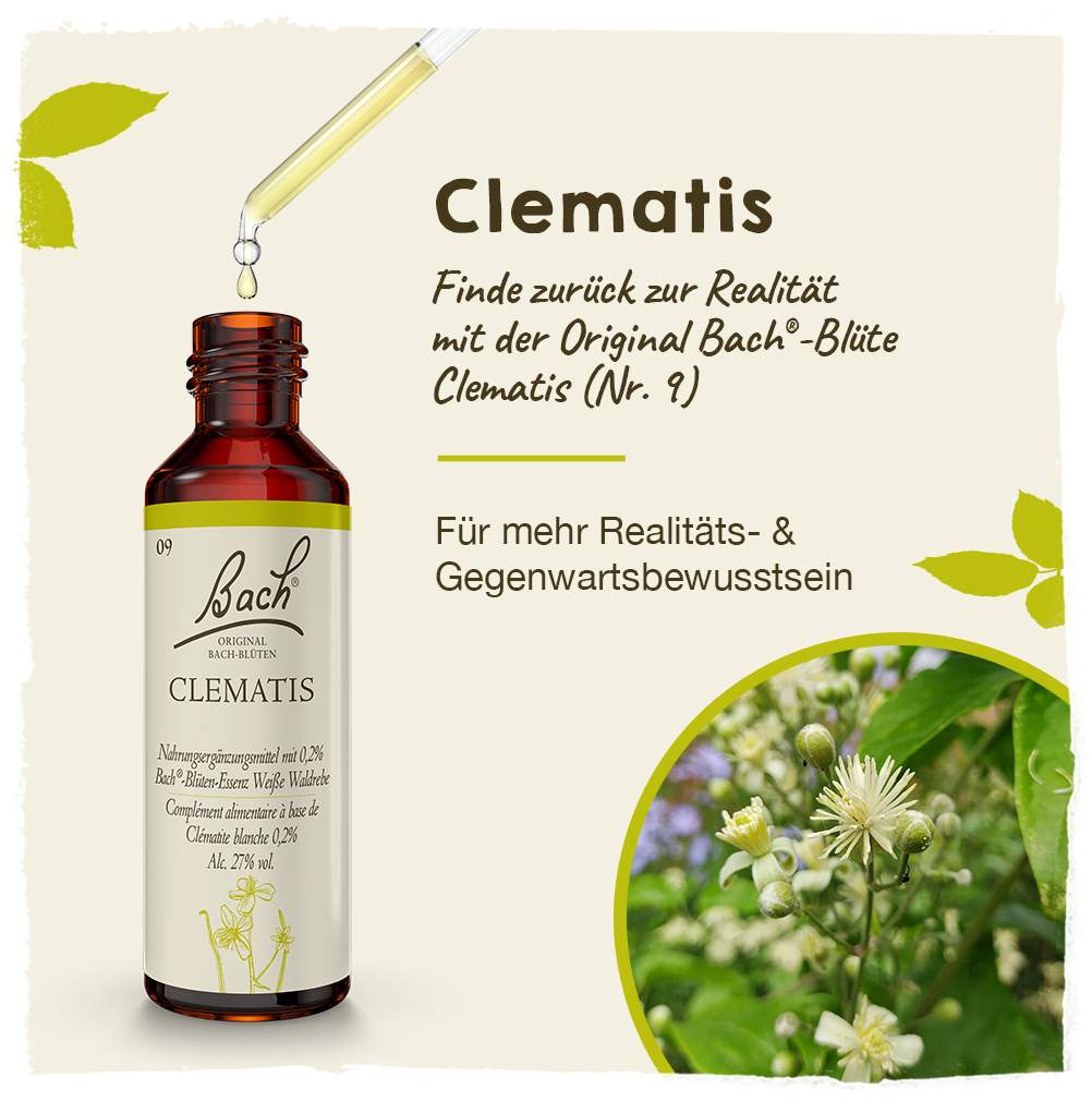 Bachblüten Clematis 20ml Tropfen
