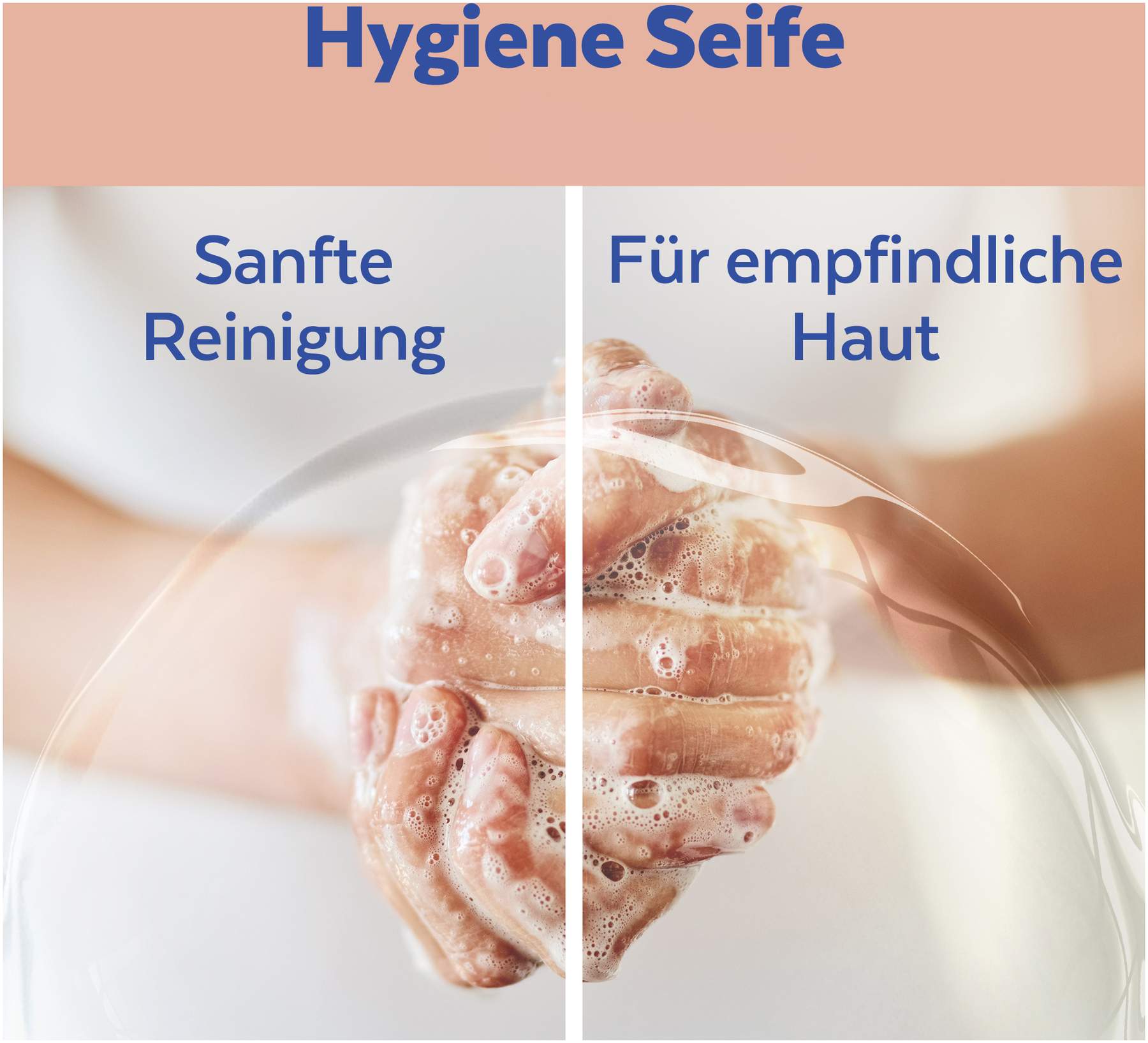 Sagrotan No-Touch Nachfüller Rose & Shea Duft 250 ml