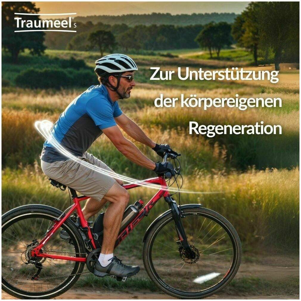 Traumeel S 250 Tabletten