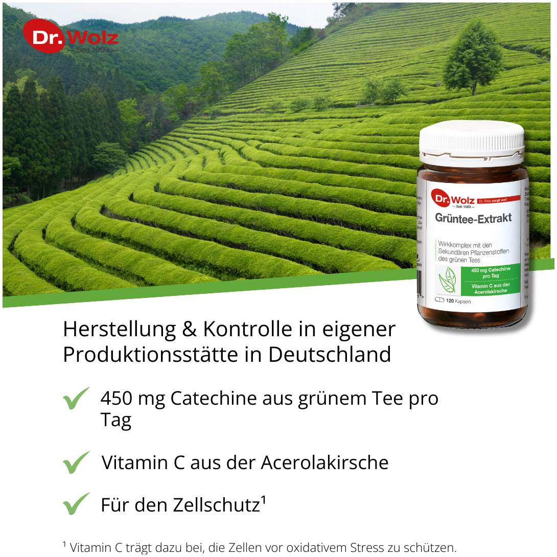 Grüntee Extrakt Dr.Wolz 120 Kapseln