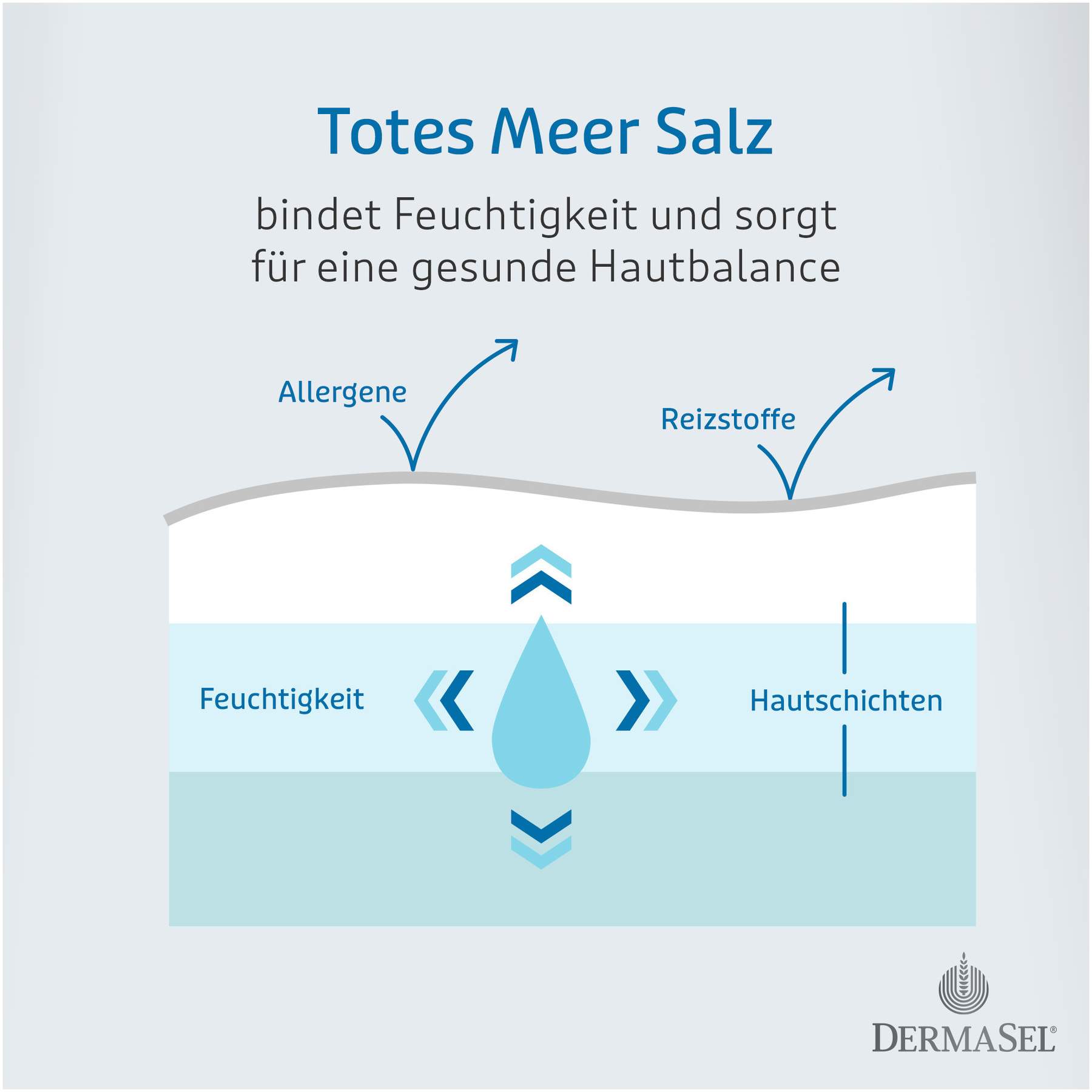 Dermasel Totes Meer Badesalz pur 5 kg