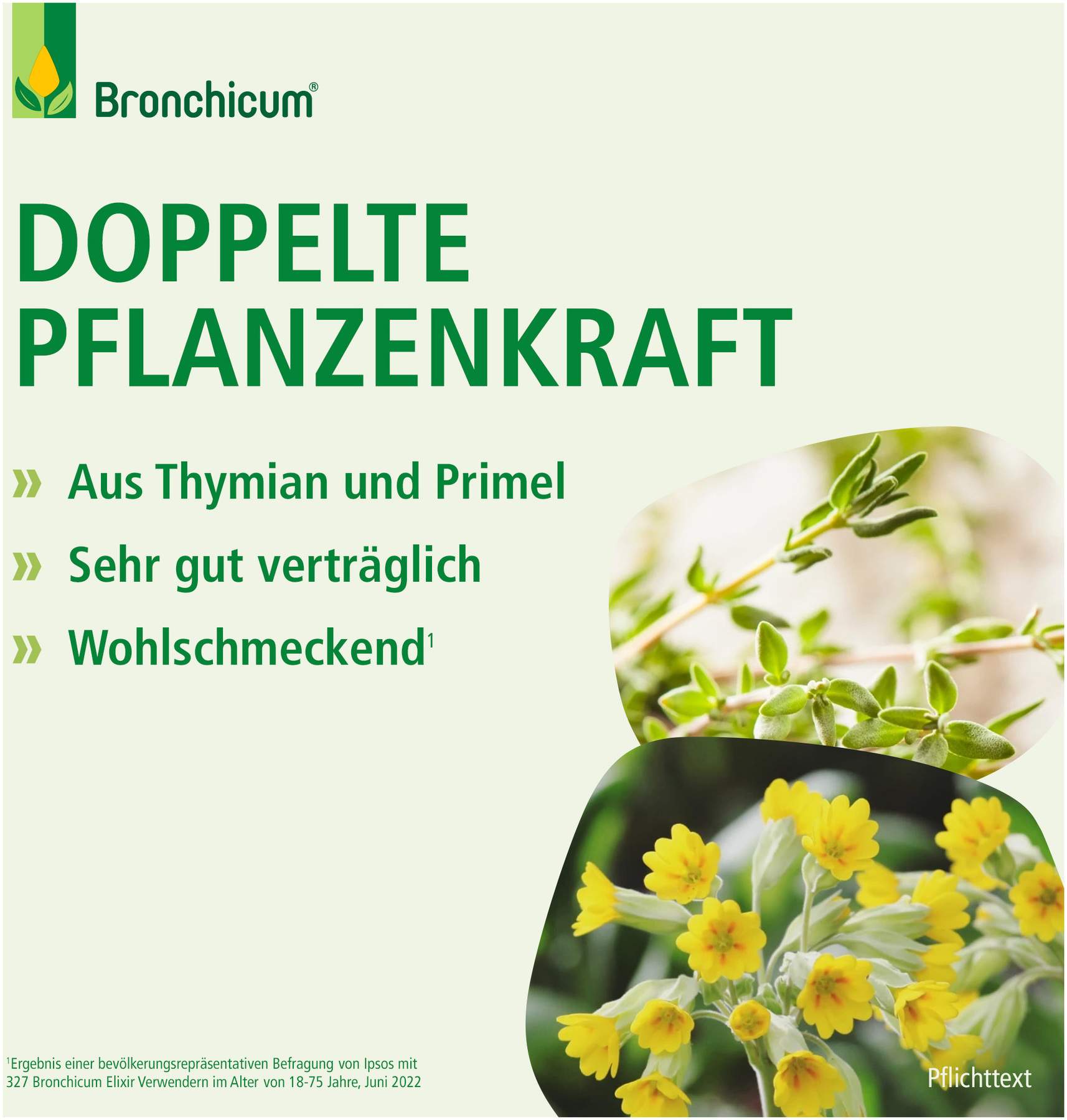 Bronchicum Elixir 250 ml Flüssigkeit