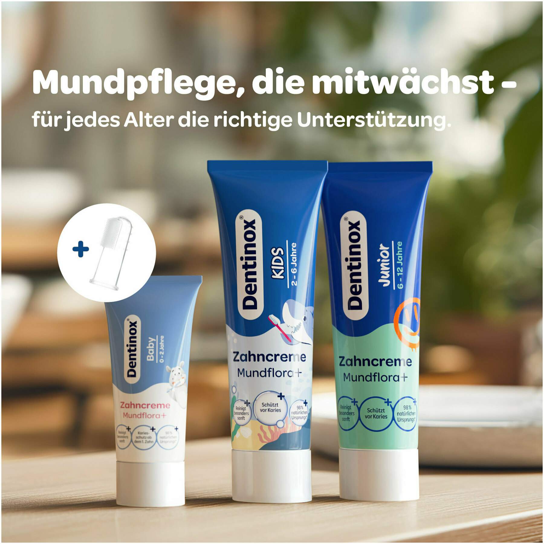 Dentinox Zahncreme Mundflora + Baby 30 ml