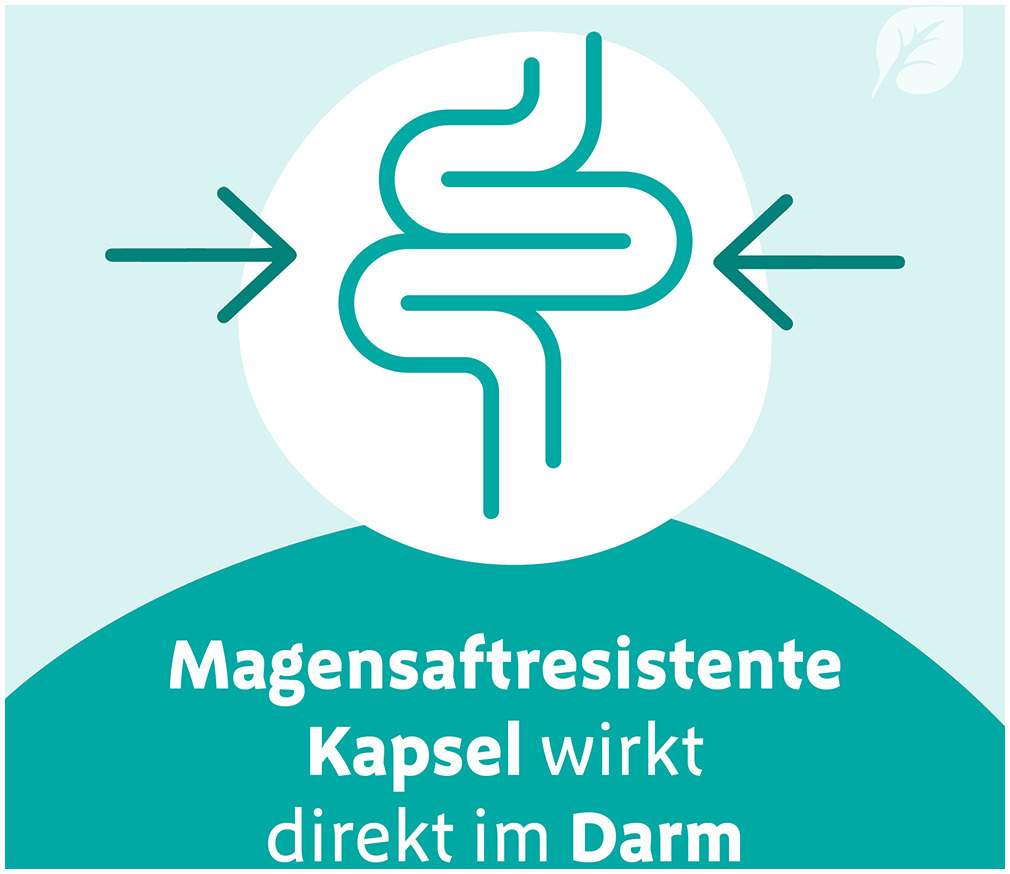 Digestopret Magensaftresistente Weichkapseln 45 Stück