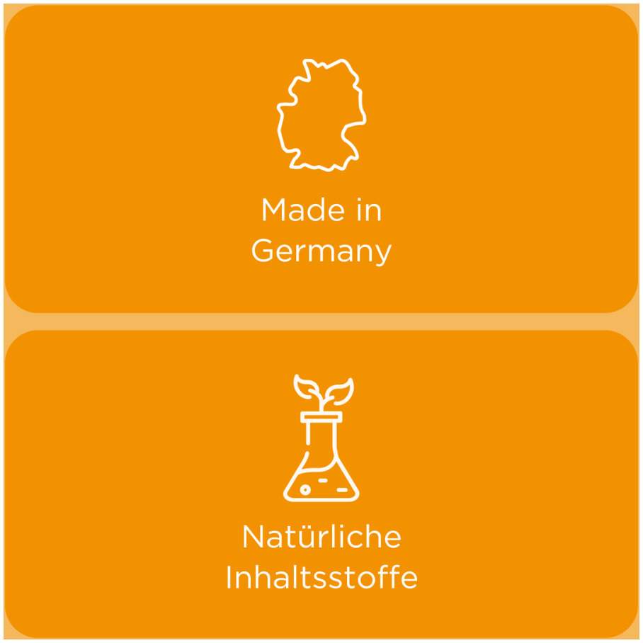 Euphorbium comp. Nasentropfen SN 20 ml Nasendosierspray
