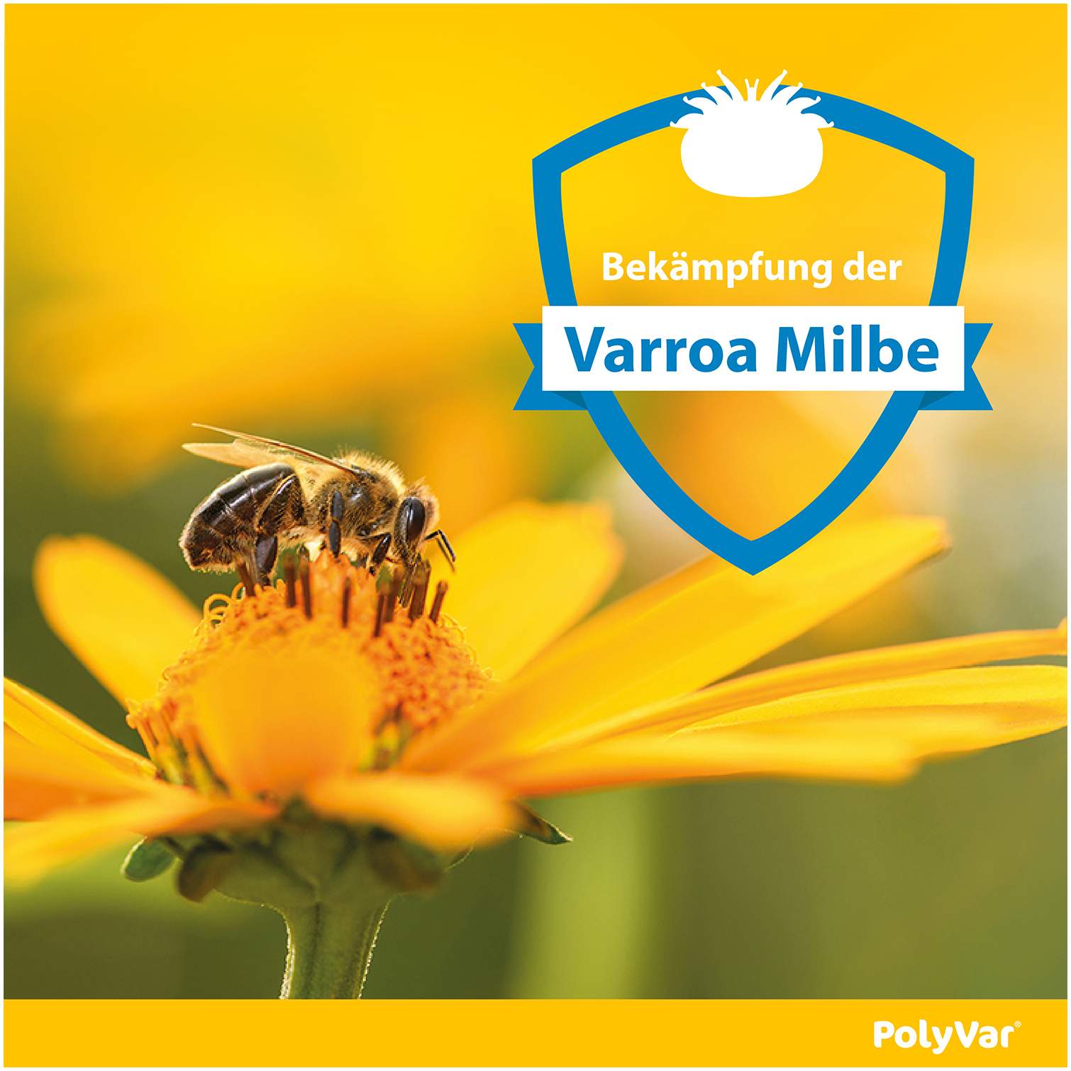 Polyvar Yellow 275 mg imprägnierter Streifen für den Bienenstock 10 Streifen