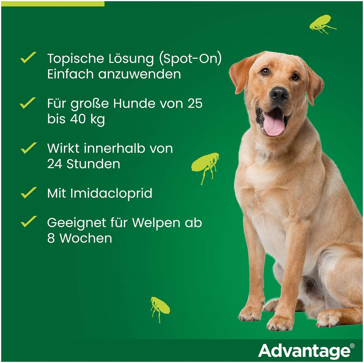 Advantage 400 Lösung Pipetten für Hunde ab 25 kg 4 Einzeldosispipetten