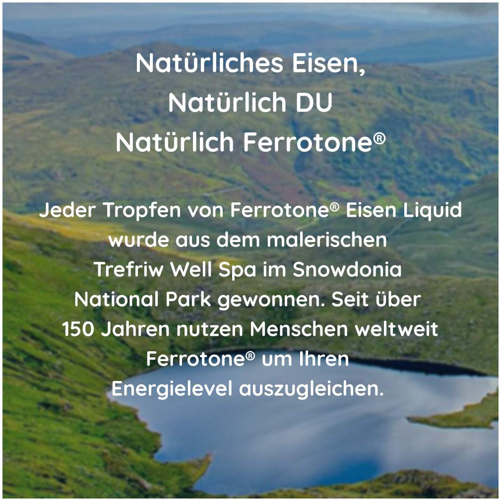 Ferrotone Natürliches Eisen 14 X 20 ml Beutel