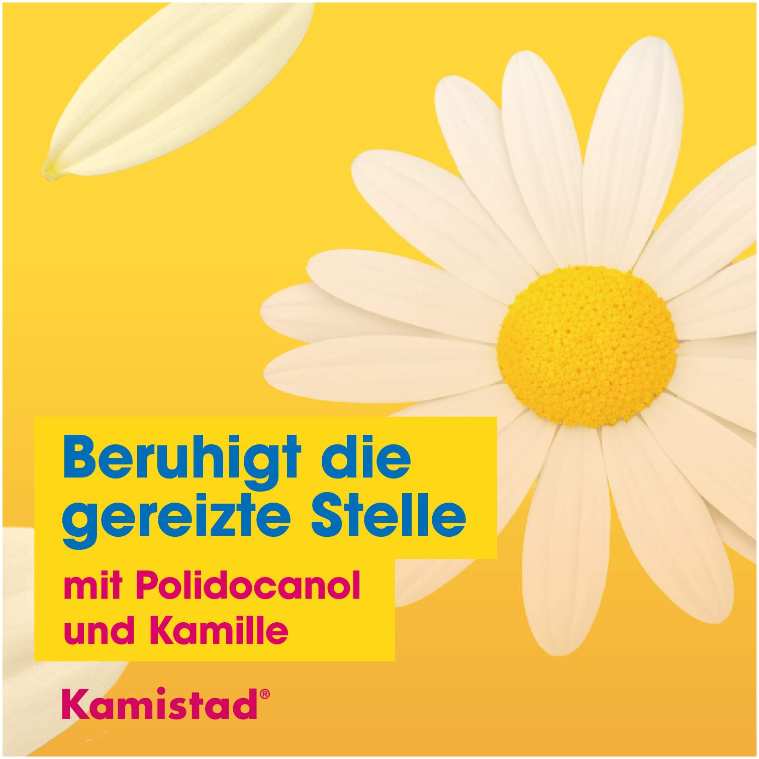 Kamistad Mundspray 20 ml
