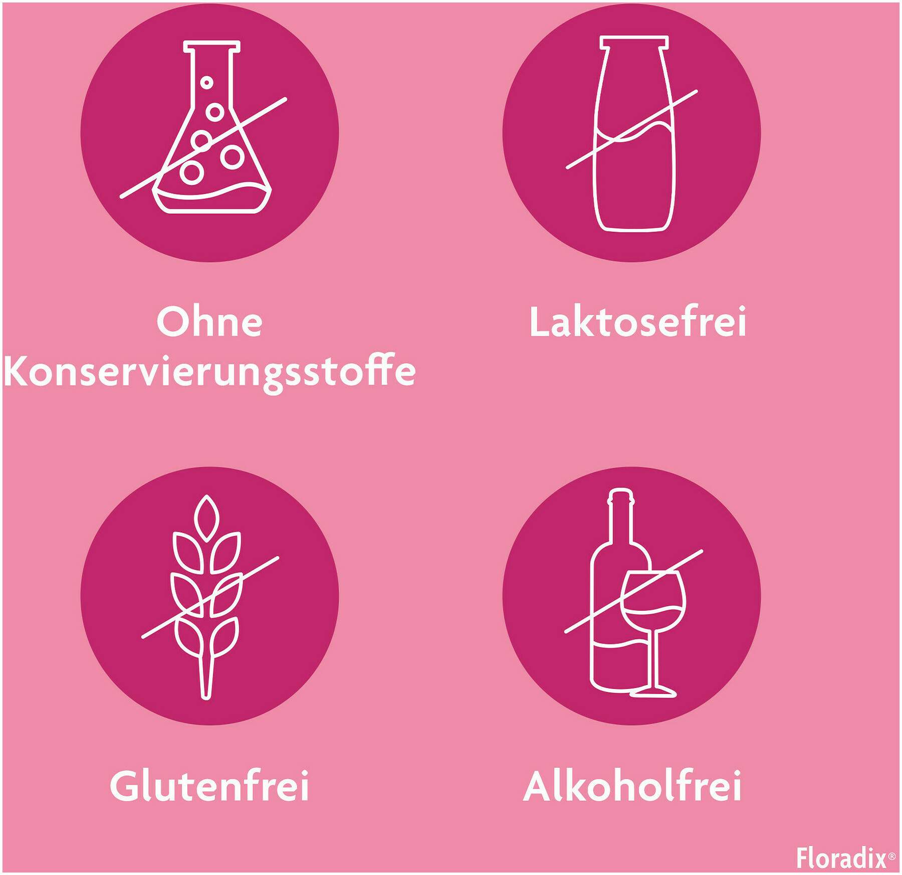Floradix mit Eisen Flüssigkeit zum Einnehmen 250 ml