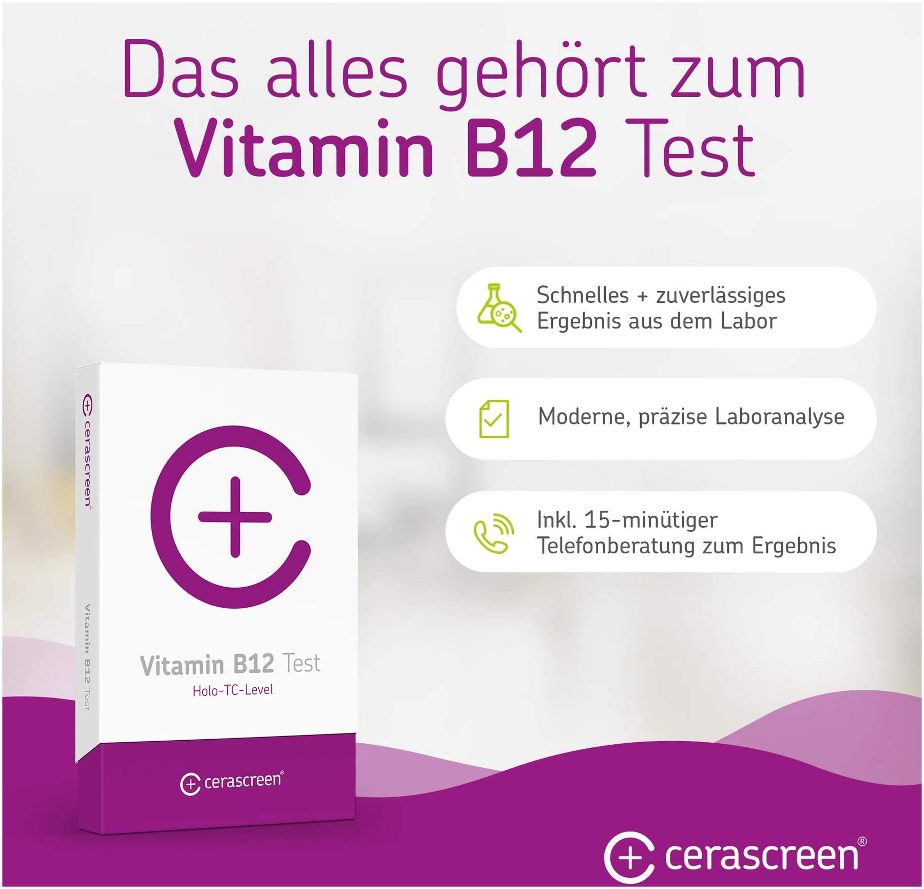 Cerascreen Vitamin B12 Test-Kit 1 Stück