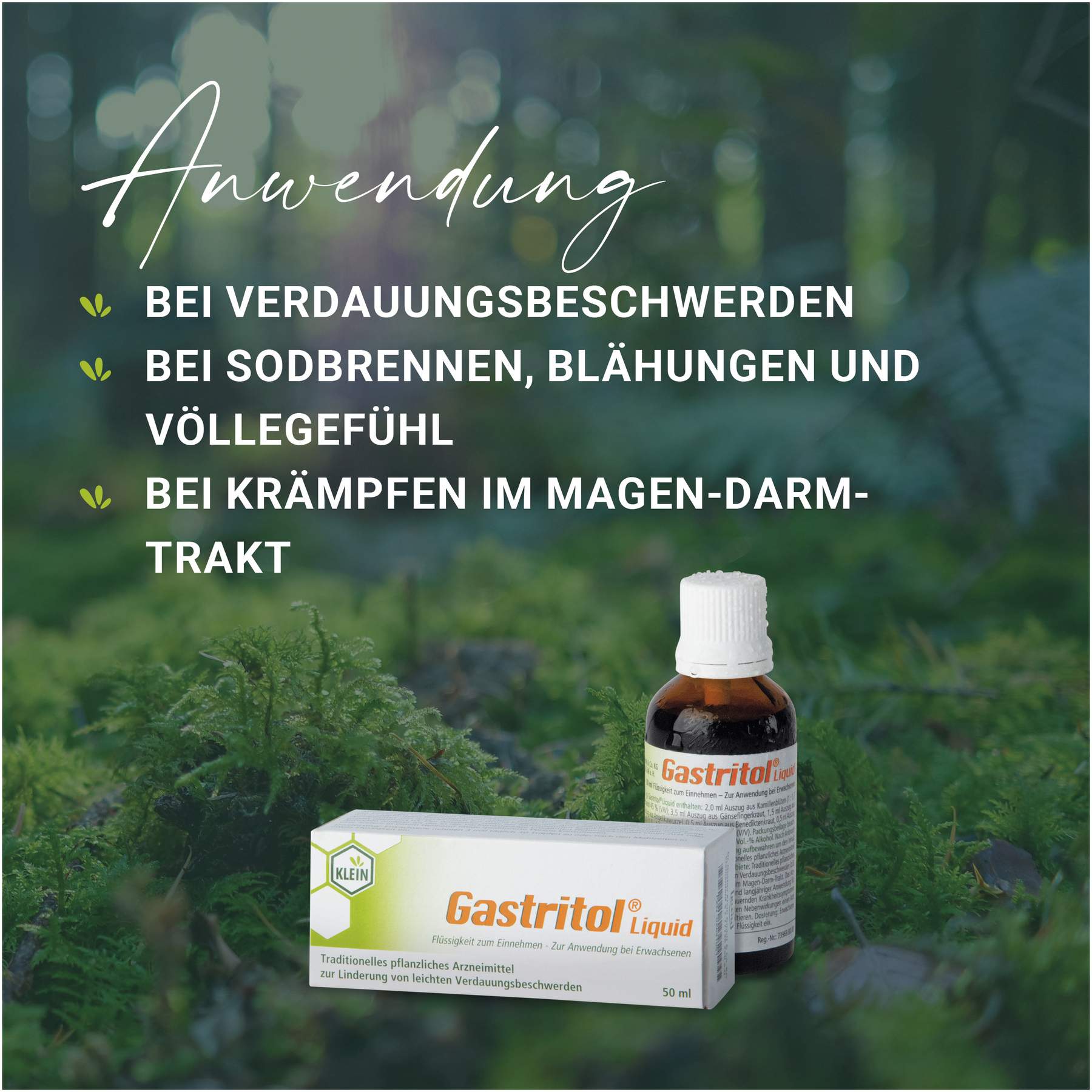 Gastritol Liquid Flüssigkeit zum Einnehmen 20 ml